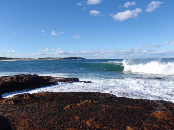 brainchildPM's tweet image. @alyssawooten enough colour? #localbreak #summer #ozdreamin :)