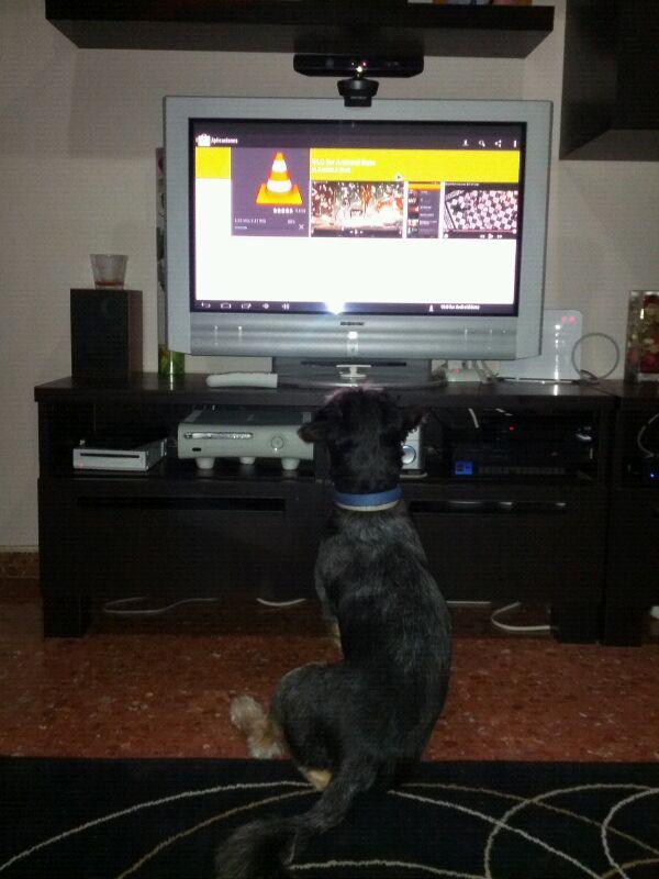 Neo_Gos's tweet photo. Acabo de descubrir la tele...!¿Qué es eso que se mueve?... http://t.co/4PgxxtmV