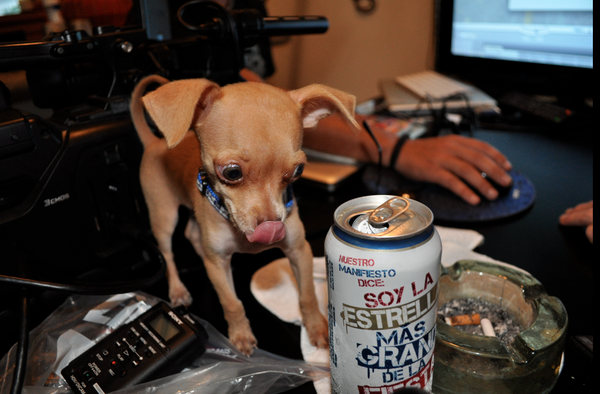 BrainStorm The Movie tweet media