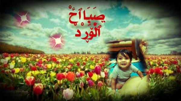 متى ترانا ونراك tweet media