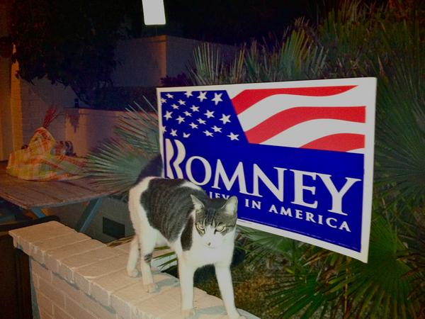 Amy_Hackman's tweet photo. Don't forget to VOTE today.  NO on 30, no more taxes!! http://t.co/80HDBjQ1