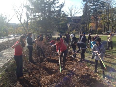 nicoazel's tweet photo. Cornell's woody plants class, installing a new planting bed at Bryant park, Ithaca http://t.co/hfkZoA3R