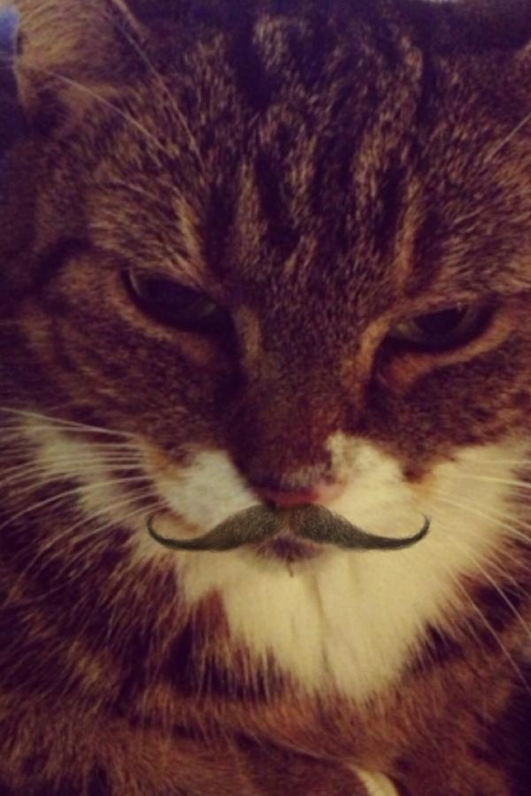 BethanyEales6's tweet image. Productive reading week