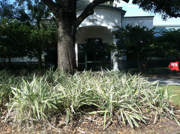 Brett Doster tweet media