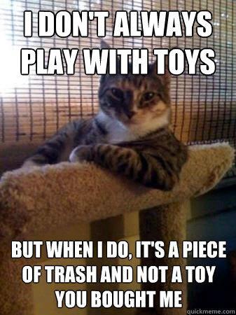No2Speciesism1's tweet image. Almost #LastTest #cat #pet #kitten #feline TESTING