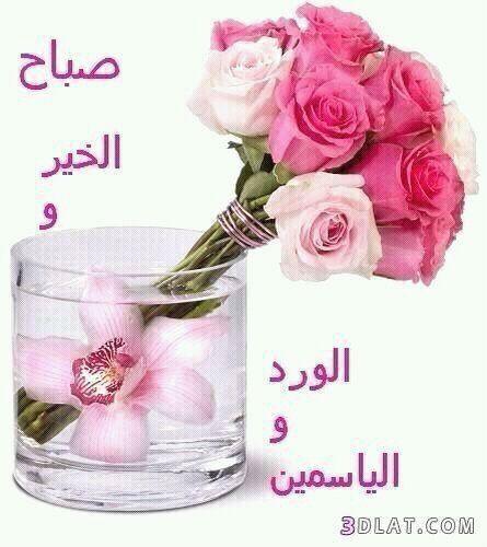 kk30301's tweet photo. @Saeed_Alqahtane http://t.co/ijwRwH03