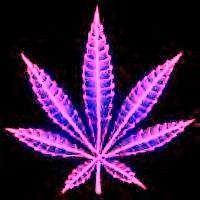 Awesome job #Colorado ...  amazing!  #LegalizedMarijuana http://t.co/T9ykCbkE<a href="/tag/colorado"class="tags">#Colorado</a><a href="/tag/legalizedmarijuana"class="tags">#LegalizedMarijuana</a>