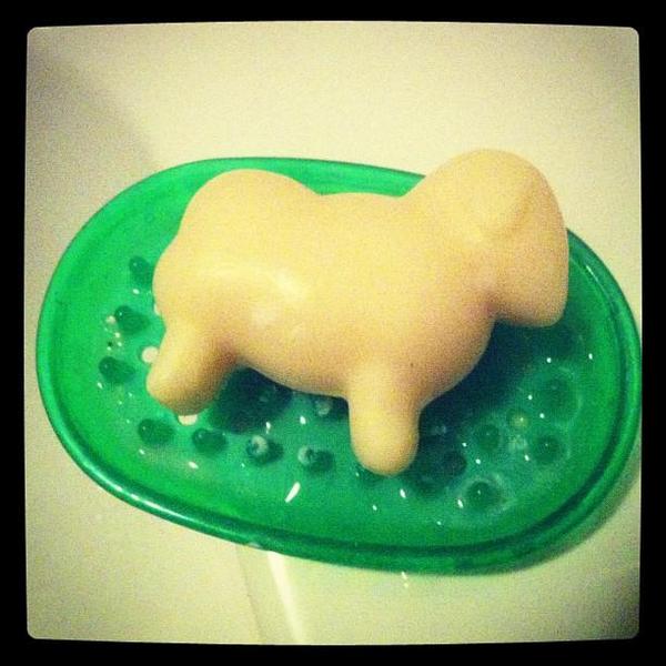 Ich wasche meine Hände in Unschuld