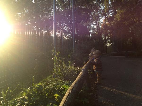 EllenKuhl's tweet photo. Tierpark http://t.co/YoxT672D