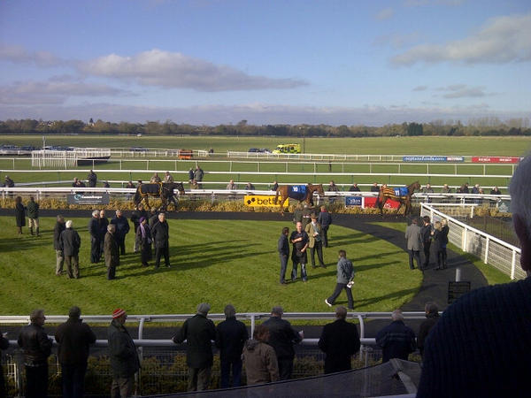 Tommypickles8's tweet image. Lovely horses #winningmoney