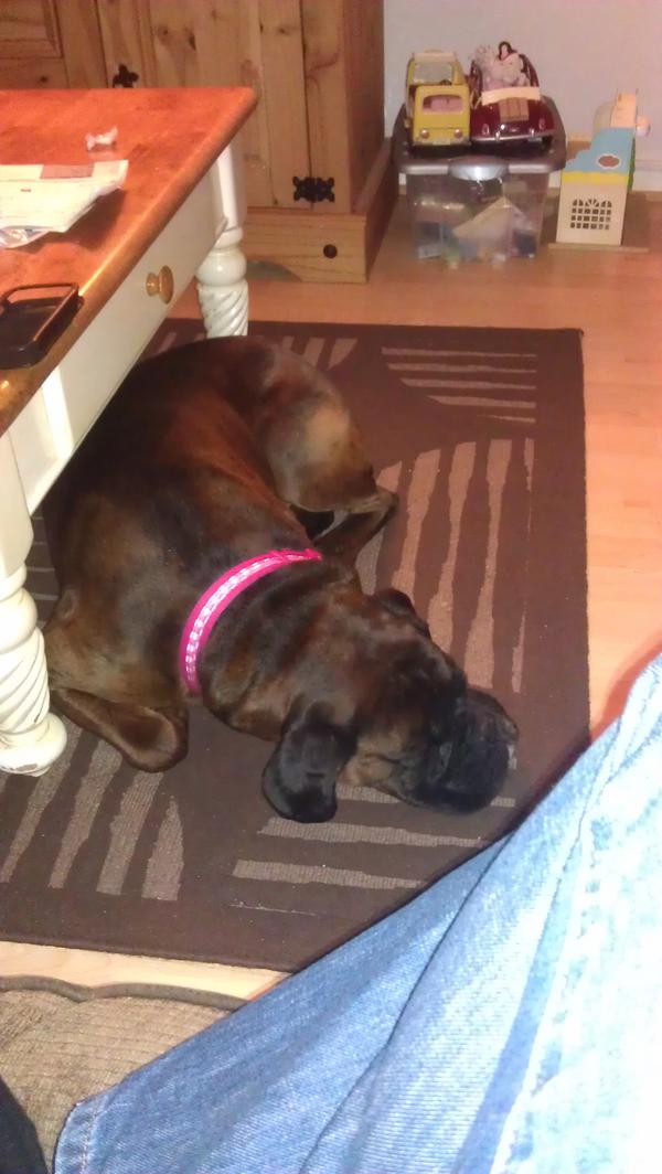 My beautiful girl ruby