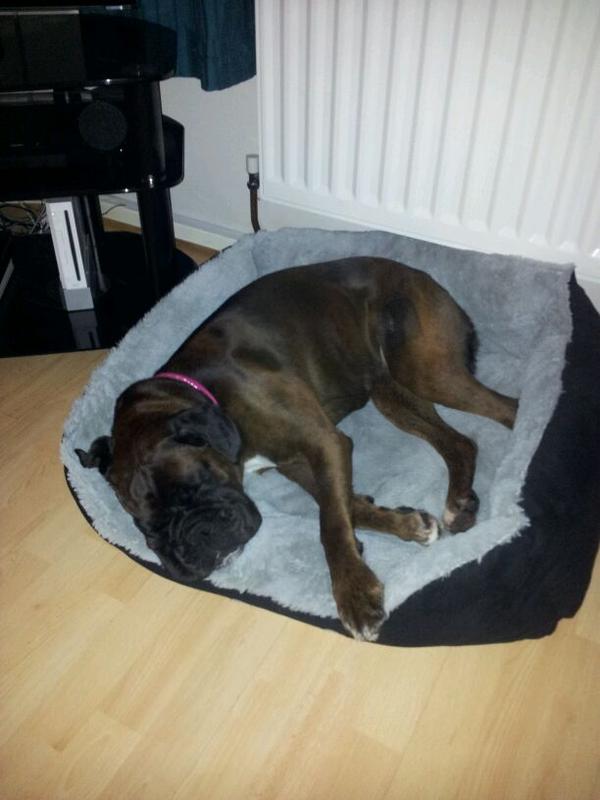 She has had such a hard day