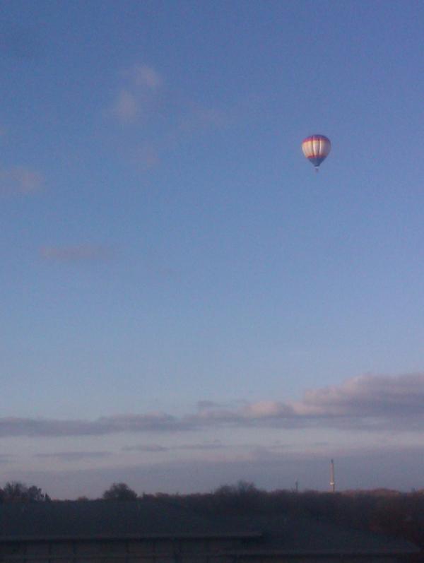 BerkeleyJr's tweet image. Looks what's outside my window. #lifessurprises