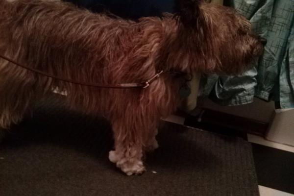 Rick wouldn't put on my boots!  I am so embarrassed