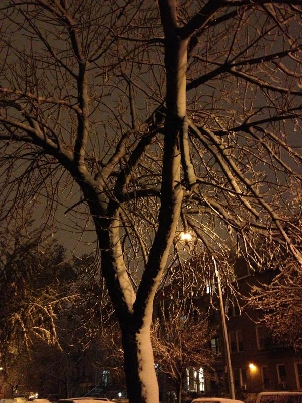 megmoho's tweet photo. Oh hello winter… welcome to the party. http://t.co/5SmLuM9T