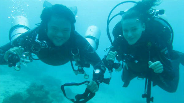 TechDiveIT tweet picture