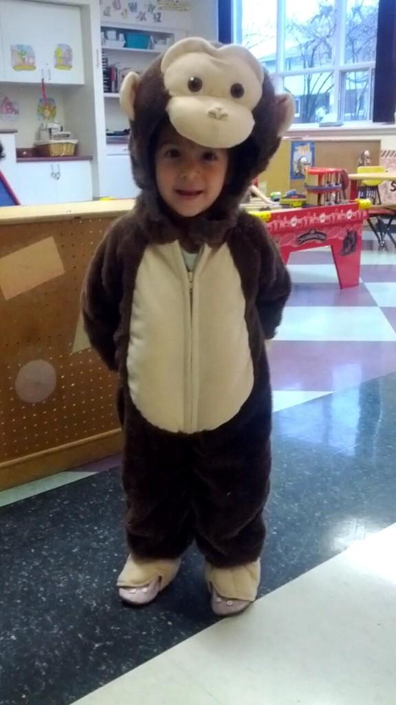 Can we have a moment for this cutie? #monkeyniece