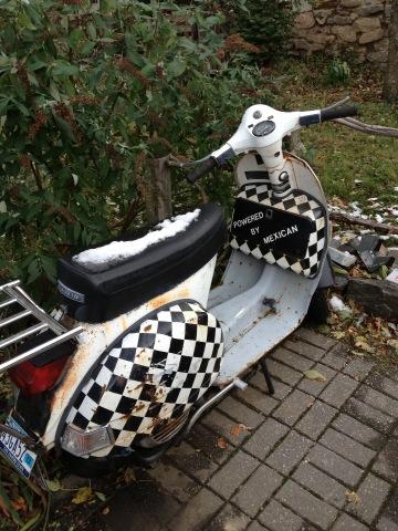 Jason D'Agrosa tweet media