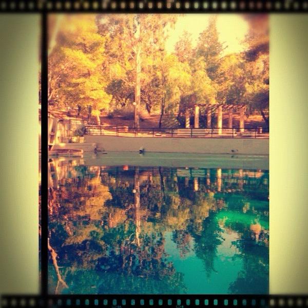 iwbi's tweet photo. http://t.co/TvW3g4ON