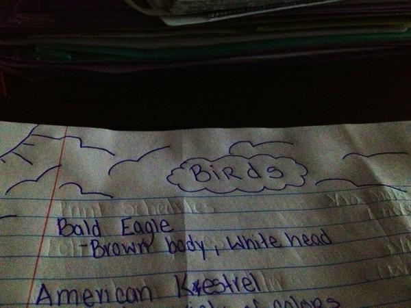 brittanyziman's tweet image. Notes in bio today #bored. #birdlearning 🐧🐦🐥🐣 #biostrugglin