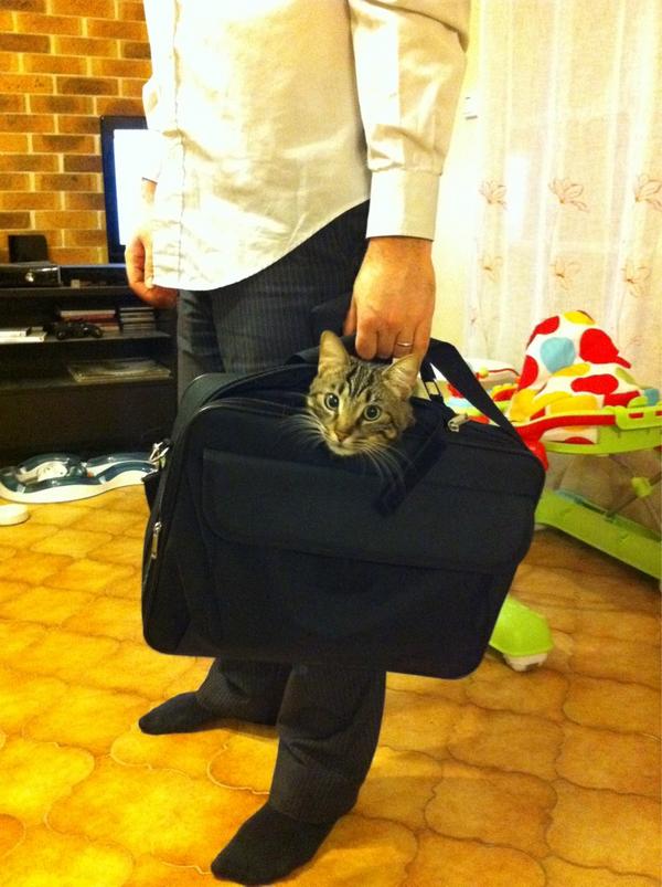 #chatDuJour: j'peux venir avec toi ?!