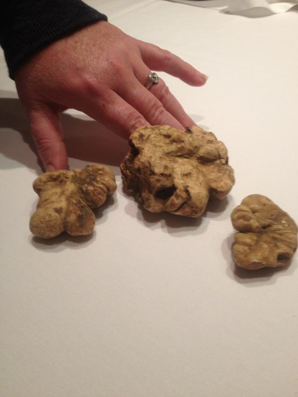 Fresh truffles exclusively for our Iconic Wine Dinner tomorrow night <a href="/TheBearfoot/">Bearfoot Bistro</a> .