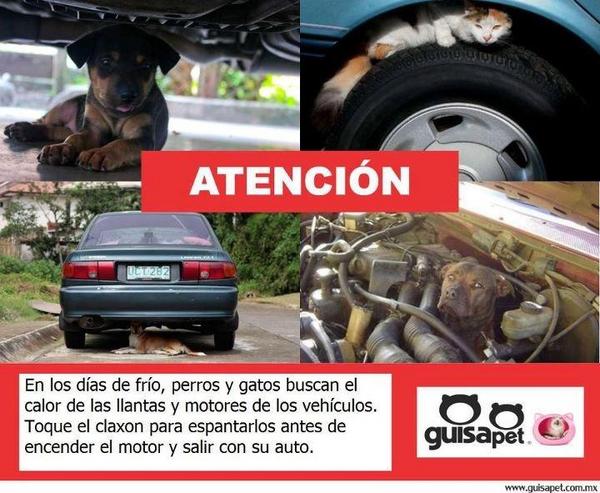 imperezivan's tweet photo. Atención http://t.co/ud5bDYe6