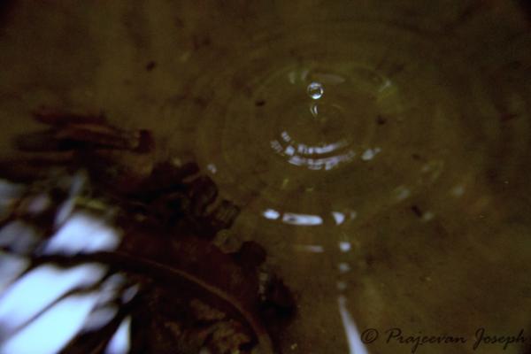 Prajeevan's tweet photo. "In every drop of water, there is a story of life." - Jan (Yann) Mulder (Sailing Sunny Seas) http://t.co/SJZjJWEn