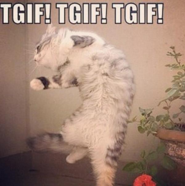 EdPlusStuart's tweet image. Its Friday!!!!!!! @StuartCamp @edsheeran