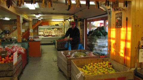 Indian Garden Farms tweet media