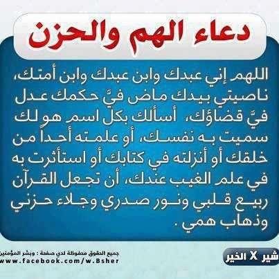 Omar tweet media