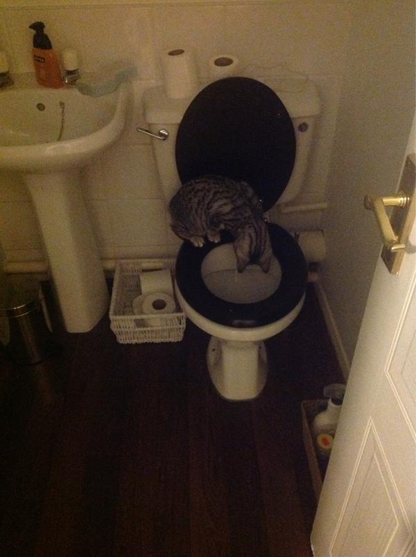 kat_h (@kvsh) on Twitter photo 