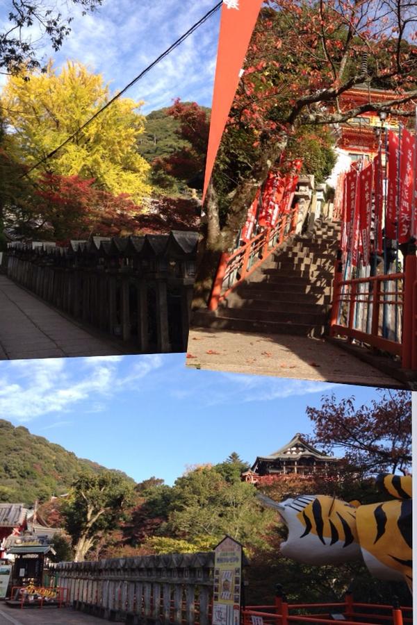 Yakkoo37's tweet photo. 朝の信貴山。
紅葉が見頃です。😊
ゆっくり見たいけど、今日はここで展示会のお仕事です😓 http://t.co/zCCRPGjG