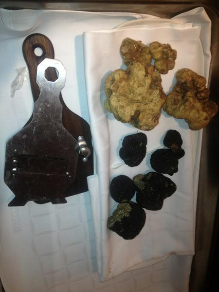 Italian icon truffle dinner <a href="/bearfoot/">bearfoot</a> #cornucopia #supertuscan #whistler