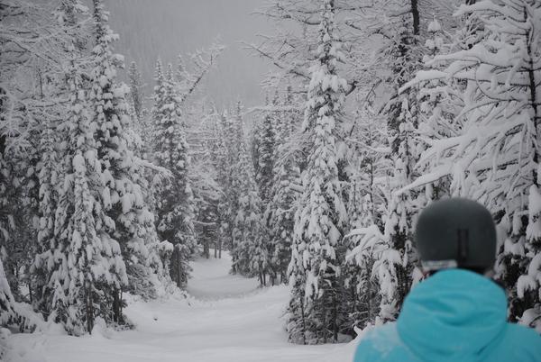 AlexanderWilce's tweet photo. “@SkiNakiska: #winterwonderland at #nakiska today! http://t.co/7F1QcV3W” be seeing you in a week!