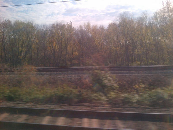 Quiet car serenity on <a href="/Amtrak/">Amtrak</a> en route New York for post-election recovery with #family and friends. #Blessed.