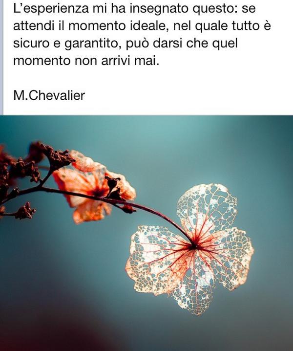 Erika Ricci (@ErikaRicci1) | Twitter