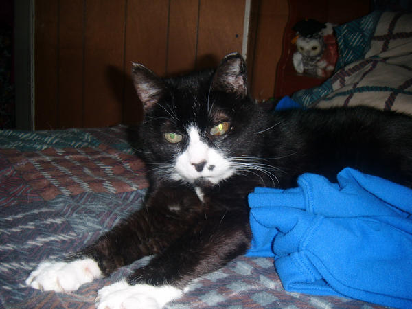 ClarksterSarah2's tweet photo. http://t.co/EWitSaY