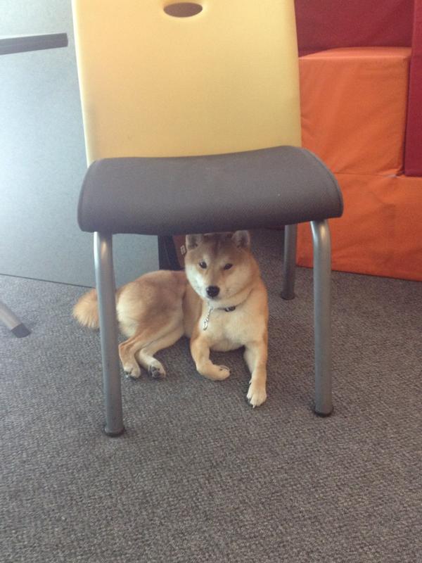 HachikoWanWan's tweet photo. Muy atento en la platica que hace mi papá @akirareiko en el campus Toluca http://t.co/nhVbV2D6