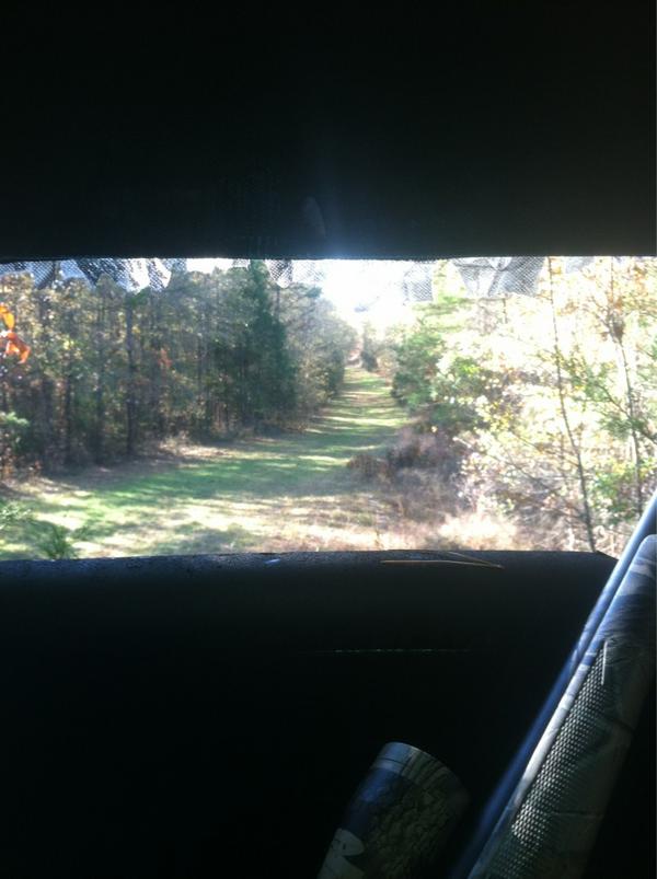 Daniel Surett tweet media