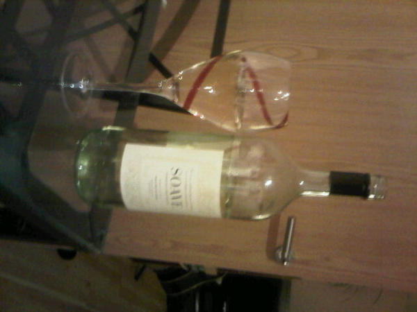 joan_eloise's tweet image. Nice &apos;wee&apos; bottle of wine....not greedy at all haha #alcos @caoimhe_1_5