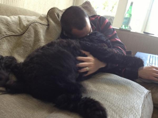 NickyThePup's tweet photo. Watching football http://t.co/ywQeYh5g