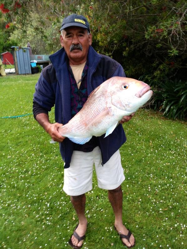 chazzedwards's tweet image. Fishing in the backyard my mate caught this beauty only in New Zealand can catch snapper like this all day long