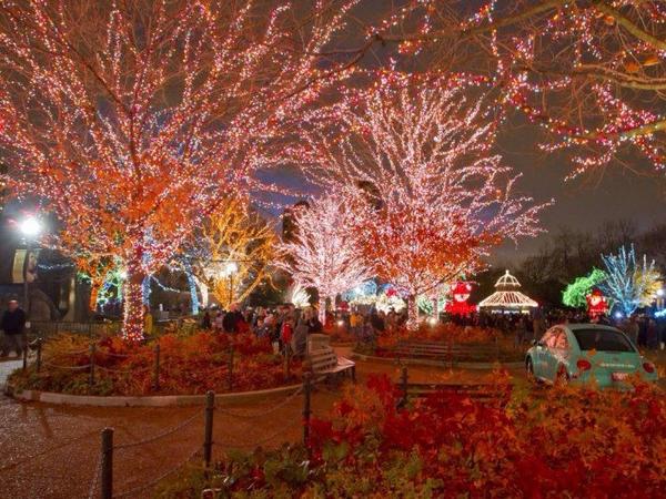 Moutamara's tweet photo. Feels like xmas http://t.co/W3gKdDSc