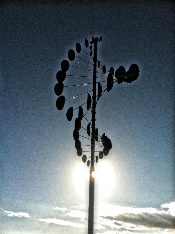 Celtsfan3's tweet image. The small things I appreciate while running n listening to music... #oddobjects