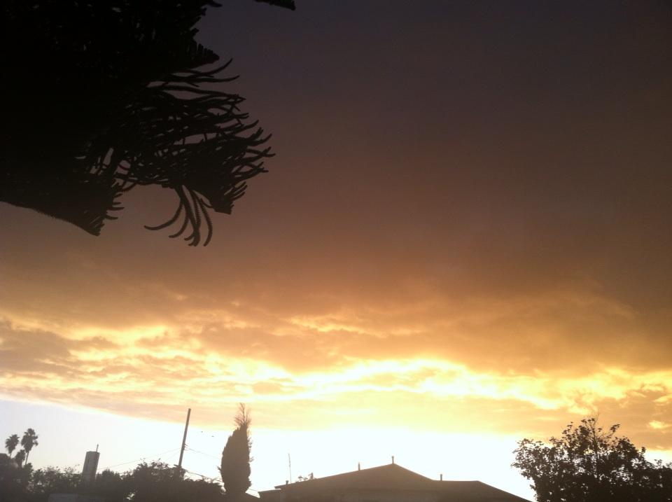 Kuinbfit's tweet photo. @WeSayInHonduras Ahí viene elver ... #losangeles http://t.co/fuvZ9UM7