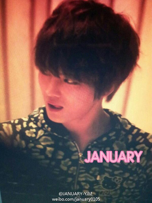 埋め込み画像への固定リンク