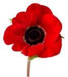 At the going down of the sun and in the morning,
We will remember them.