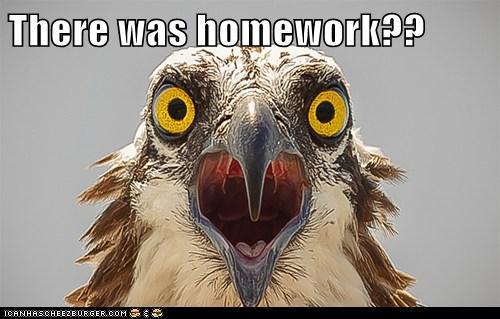 thisguymillz's tweet image. 