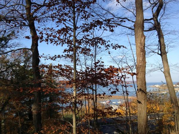 icanhasphilly's tweet image. #postsandy #strongisland #iloveny